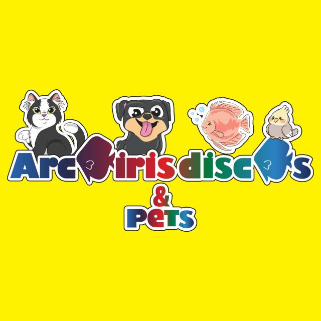 Logo da loja Arco Iris Discos
